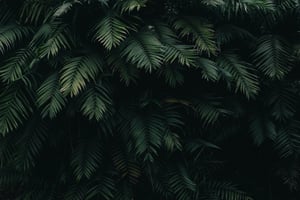 pexels-catiamatos-1072179